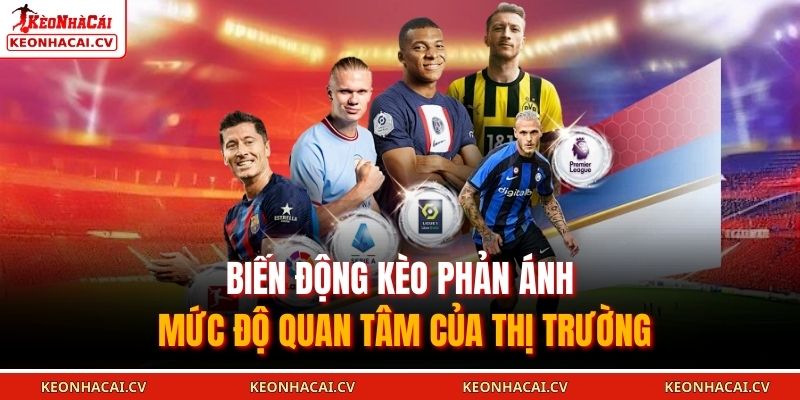 Biến động kèo phản ánh mức độ quan tâm của thị trường