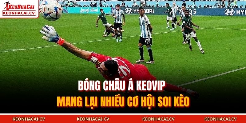 Bóng châu Á KEOVIP mang lại nhiều cơ hội soi kèo