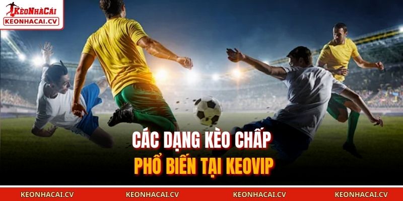 Các dạng kèo chấp phổ biến tại KEOVIP