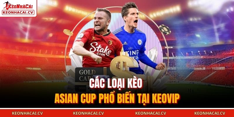 Các loại kèo Asian Cup phổ biến tại KEOVIP