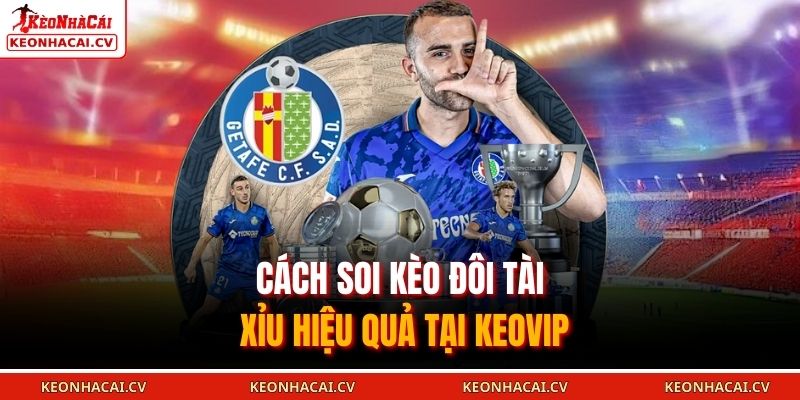 Cách Soi Kèo Đôi Tài Xỉu hiệu quả tại KEOVIP