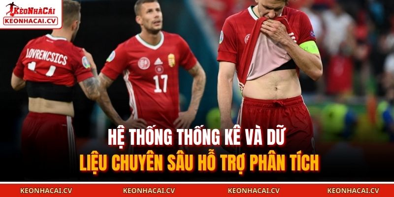 Hệ thống thống kê và dữ liệu chuyên sâu hỗ trợ phân tích