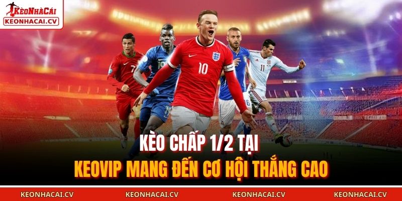 Kèo chấp 1/2 tại KEOVIP mang đến cơ hội thắng cao