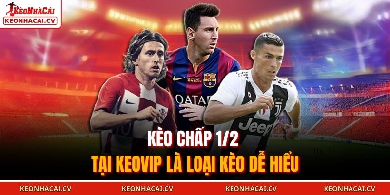 Kèo chấp 1/2 tại KEOVIP là loại kèo dễ hiểu