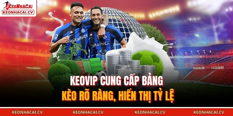 KEOVIP cung cấp bảng kèo rõ ràng, hiển thị tỷ lệ