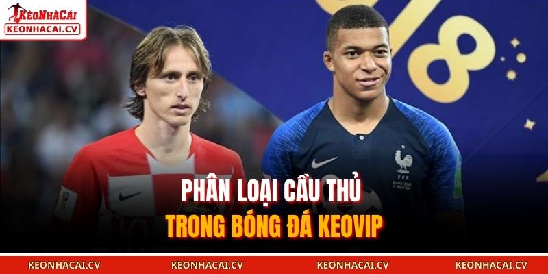Phân loại cầu thủ trong bóng đá KEOVIP