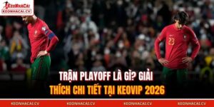 Trận playoff là gì