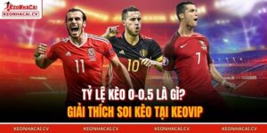 tỷ lệ kèo 0-0.5 là gì